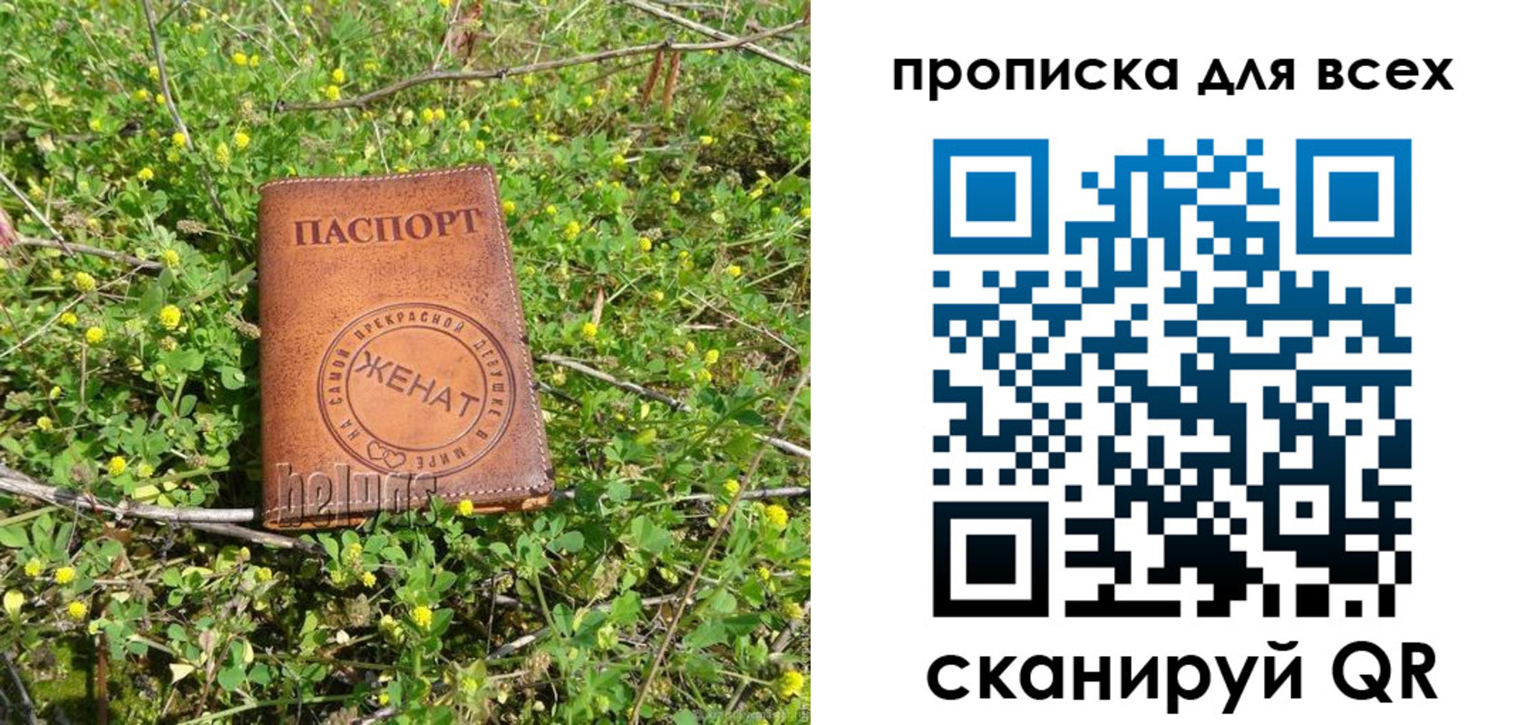 прописка поиск в Ермолино